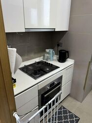 Skyline Residences (D4), Condominium #452708091